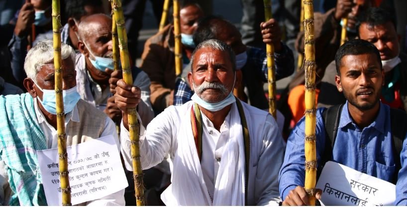 सर्लाही र नवलपरासीका उखु किसान फेरि काठमाडौंमा