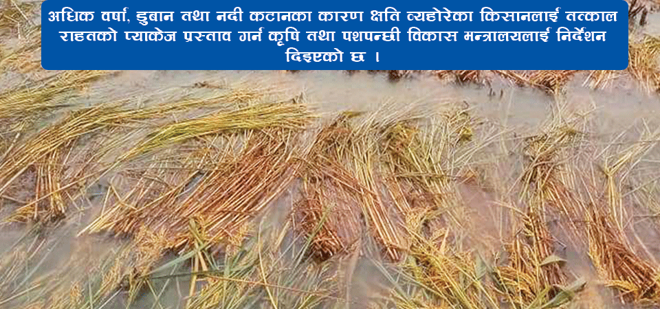 किसानलाई तत्काल राहत प्याकेज प्रस्ताव